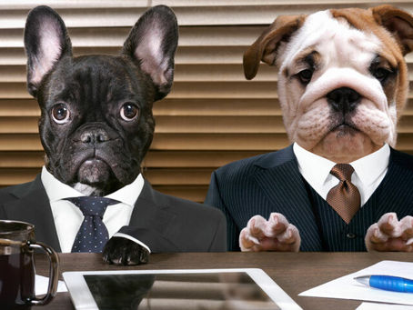 Work Like a Dog!