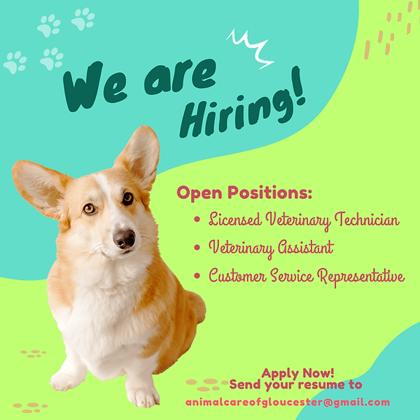 Green and Peach Pet Shop Services Instagram Post.png