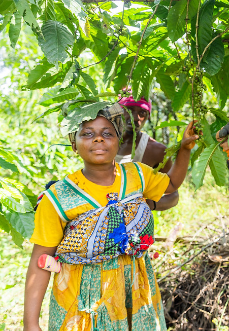 group-of-farmers-during-the-harvest-of-coffee-berr-2026-01-09-01-07-42-utc.jpg