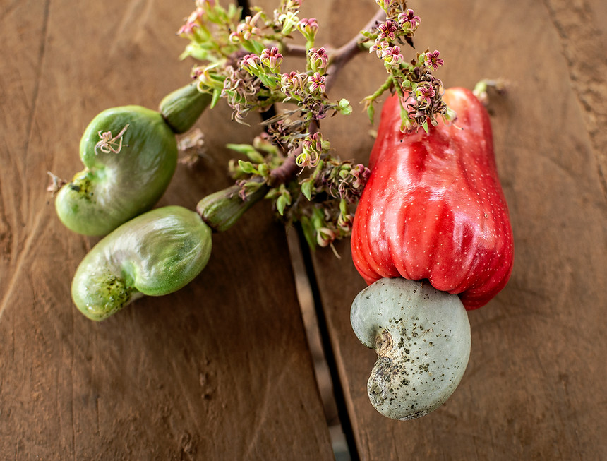 asian-whole-cashew-fruit-outdoors-in-thailand-farm-2026-01-09-10-12-21-utc.jpg