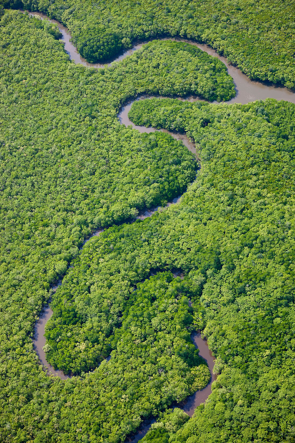aerial-view-of-river-running-through-tropical-rain-2026-01-09-08-24-46-utc.jpg