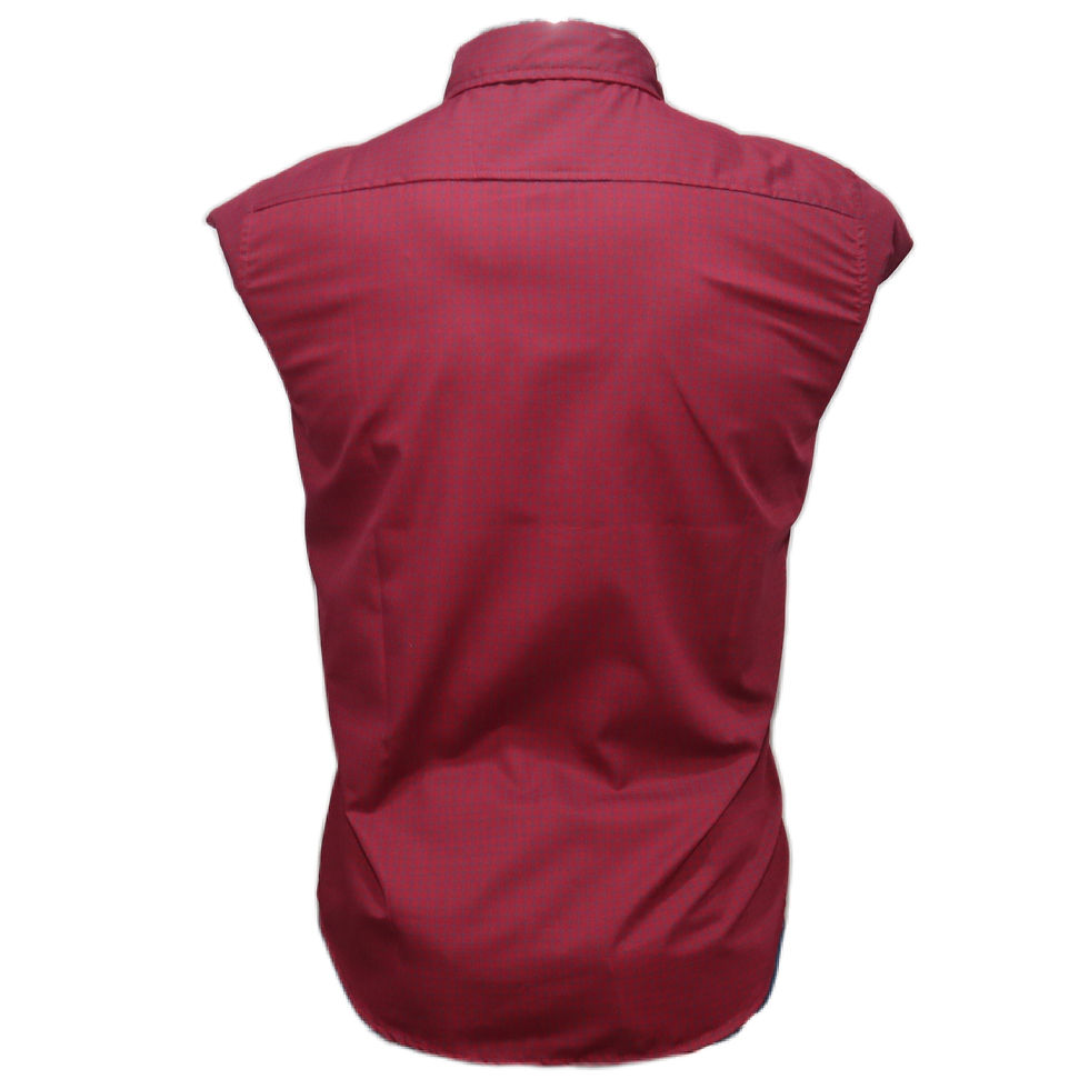 Miniatura: Camisa para caballero (Calvin Klein)