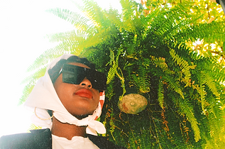 Screen Shot 2019-09-29 at 12.30.00 PM.pn