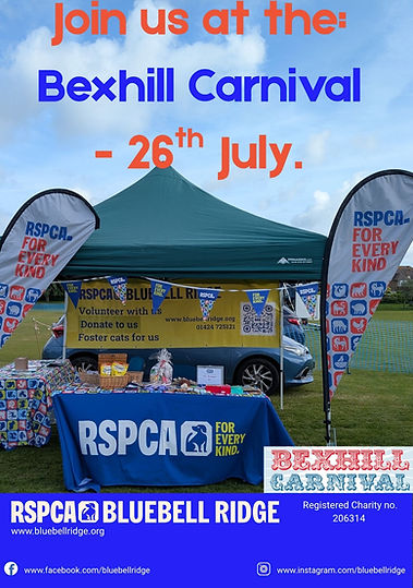 Bexhill Carnival.jpg