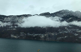 IMG_5553.JPG