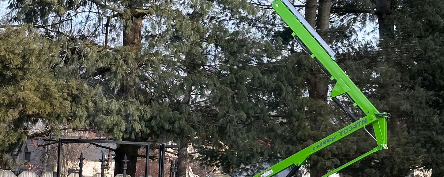 Nifty Lift used for tree removal