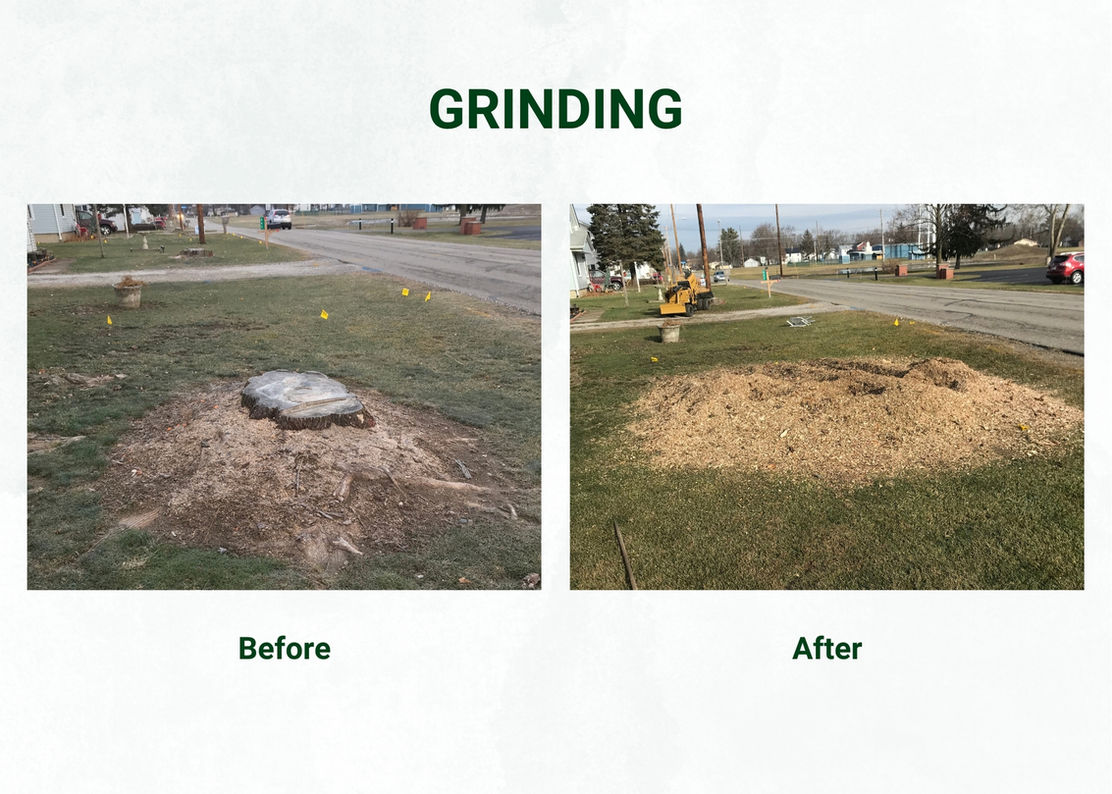 Stump Grinding