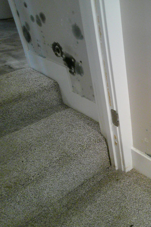 Mold on the walls of a stairway