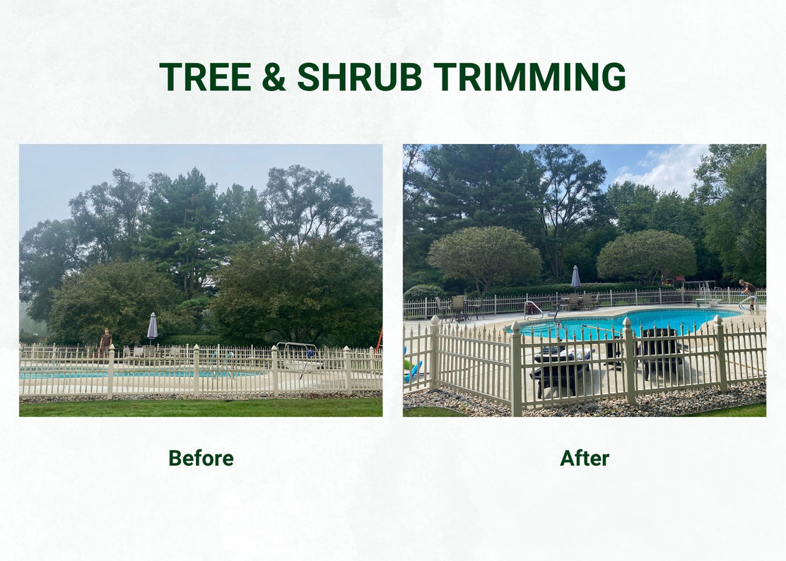 Tree & Shrub Trimming