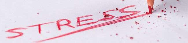 Prioritizing Physical & Mental Health Despite Ongoing Stress
