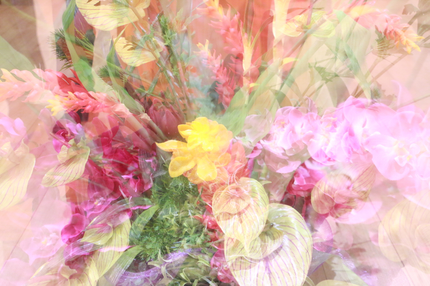 Adam's Birthday Party