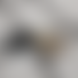 An open magazine on a white floor showing cover and back cover with window frames shadows on top