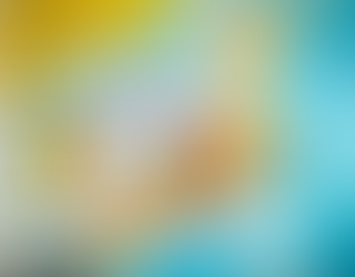 Hyogo: Your Gateway to the Ultimate Educational Trip in Japan🏫