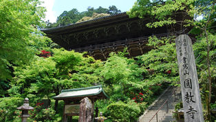 More than just Himeji Castle! A One-Day Plan to Explore Himeji