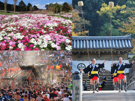 Folk Culture & More at Fall Festivals