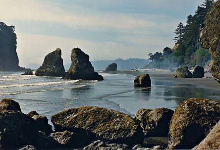 Ruby_Beach,_Olympic_National_Park.jpeg