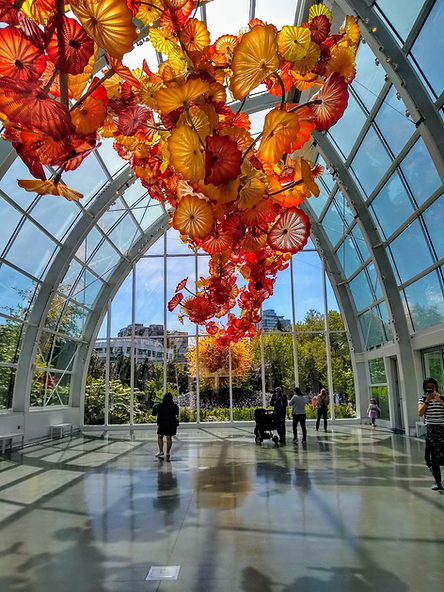 chihuly.png