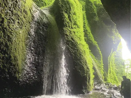 上山高原の再生について学ぶSDGｓプログラム（新温泉町）