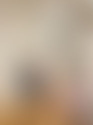 インターン便り(鈴木 理奈:ワシントン大学)