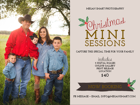 $40 Christmas MINI SESSIONS