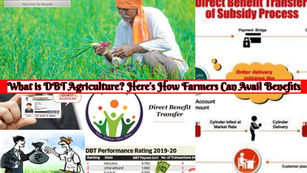 What is DBT Agriculture? Here’s How Farmers Can Avail Benefits