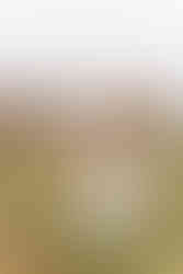 Bride and groom dancing in front of the Avington wedding 