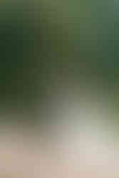 First look with bride and groom at at Brympton house Wedding 