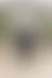 Groom and groomsmen walking away from Froyle Park Wedding