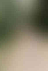 Bride and groom kissing at Avington wedding 