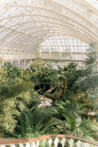 The conservatory with trees by Kew Gardens wedding photographer