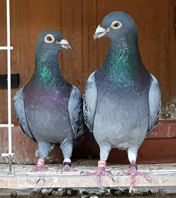 IMG-20180727-WA0000