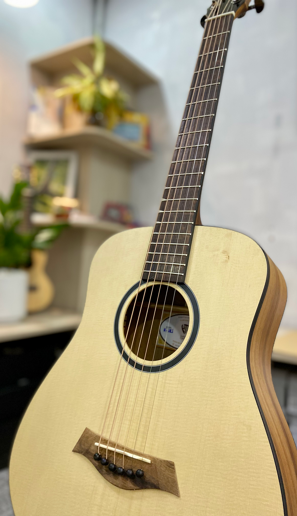 Hình thu nhỏ: Guitar Trần D-38 Junior