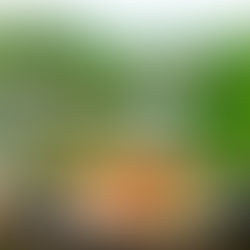 Kurdish Lamb Meatballs with fried rice