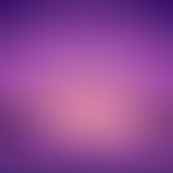 A Farewell to Turtle