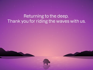 A Farewell to Turtle