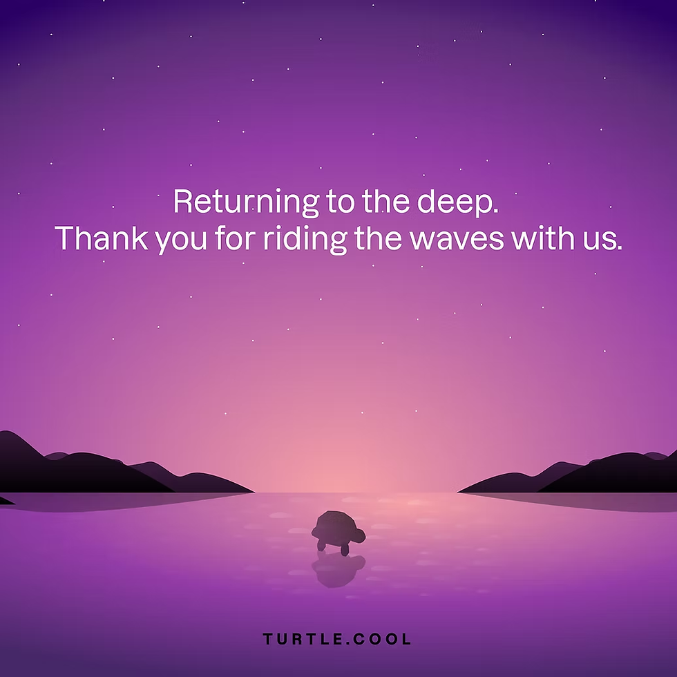 A Farewell to Turtle