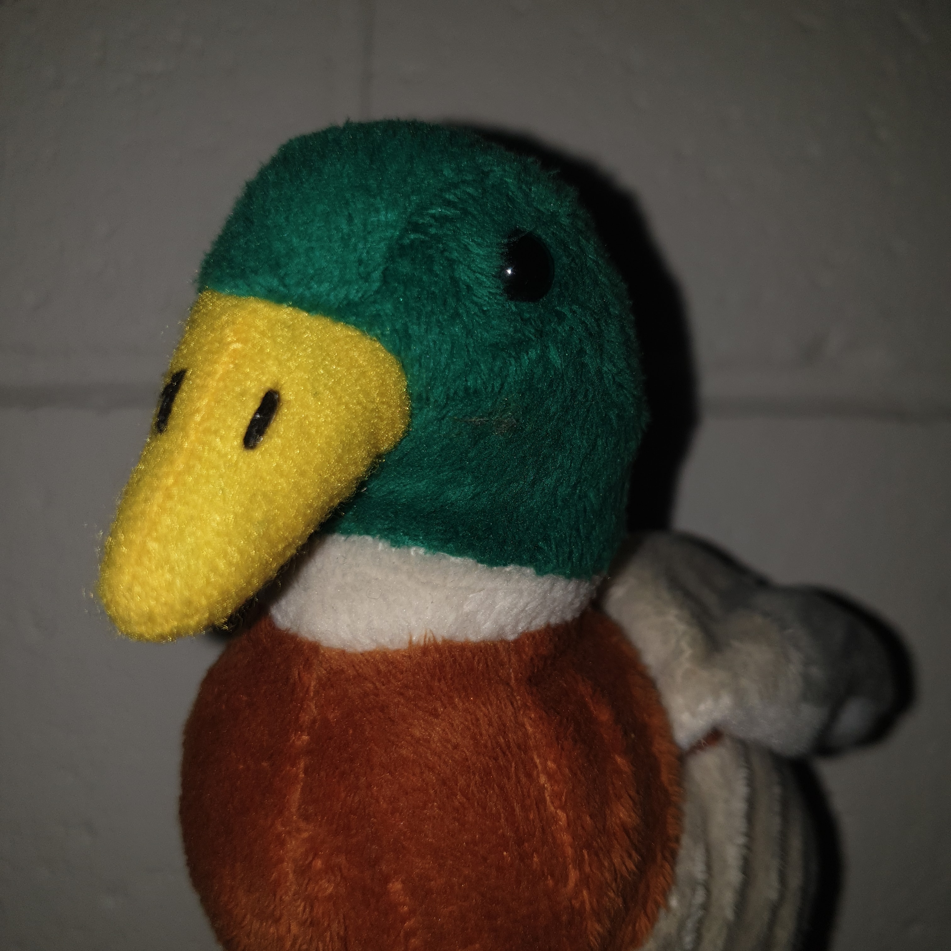 Writer: nuggstheduck
