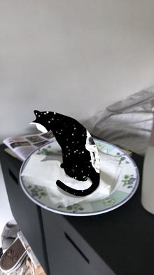 Void Cat