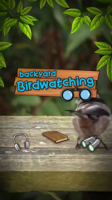 Backyard Birdwatching - AI Classification