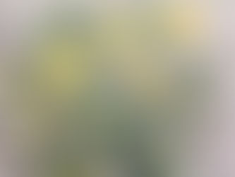 花の小品を追加しました。
