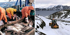 Greenland needs foreign workers