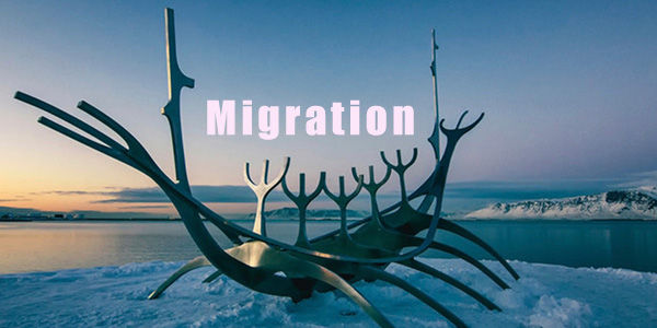 Global migration 2024