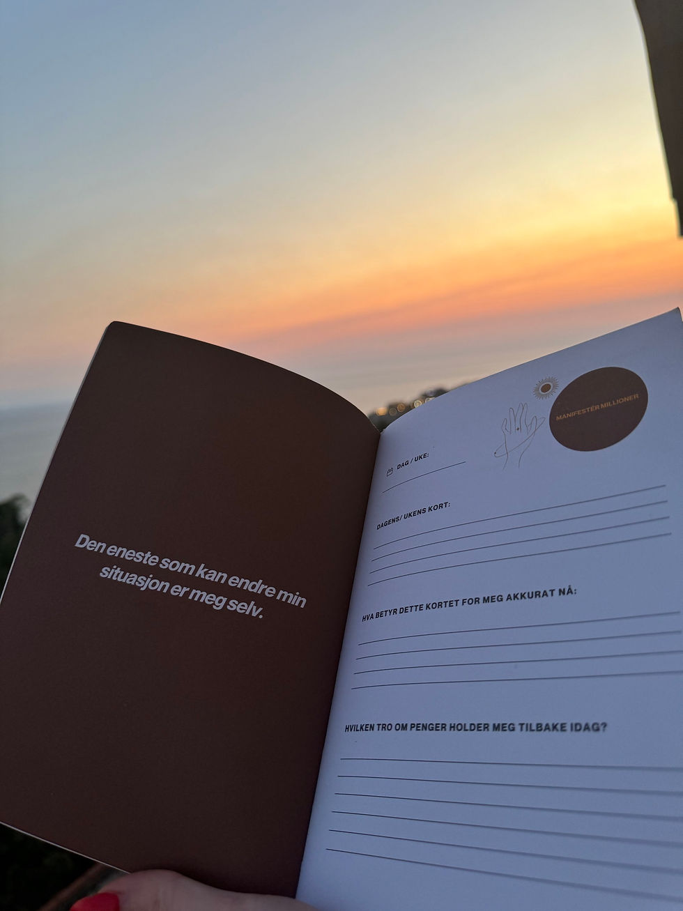 Miniatyrbilde: Manifestér Millioner journal