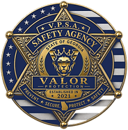 VPSA_Badge_Navy_1C2A55_800 copy.png