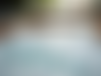 Cession types South Africa