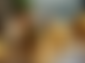 Alternative Investments