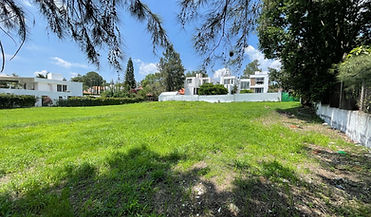 shutterstock_1898354080_edited.jpg