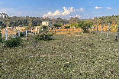 WhatsApp Image 2025-04-22 at 6.28_edited