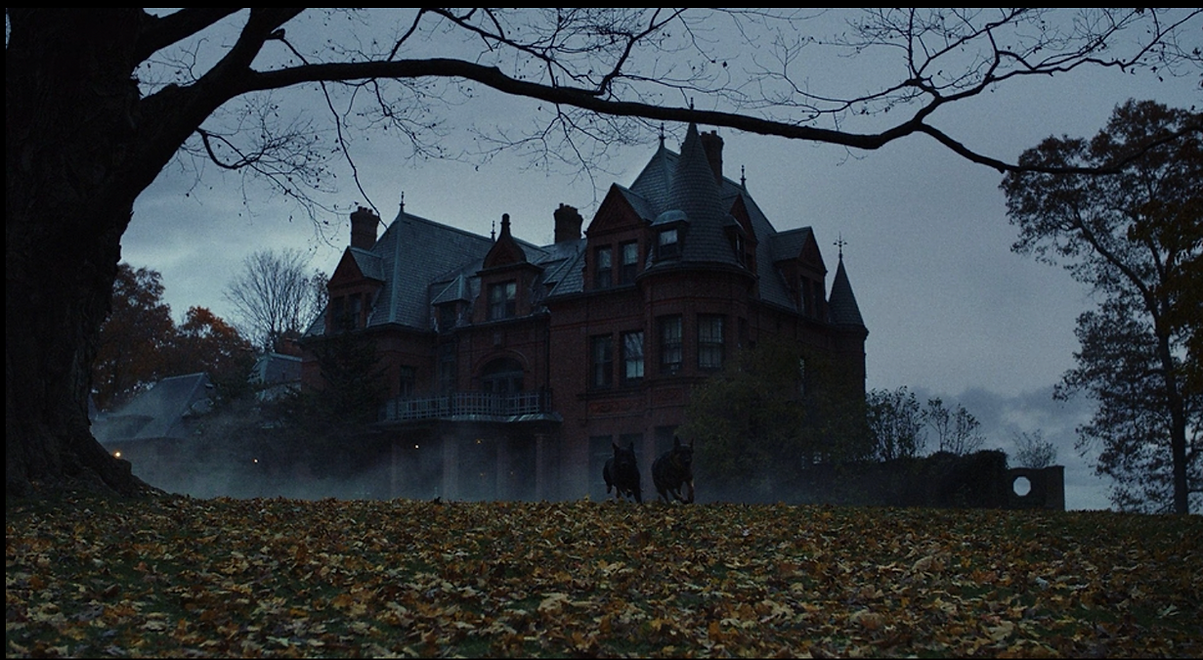 Screen Shot 2022-12-17 at 11.41.54 AM.png