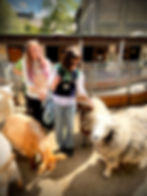 Thumbnail: Sheep Vest S/M (Made to Order)